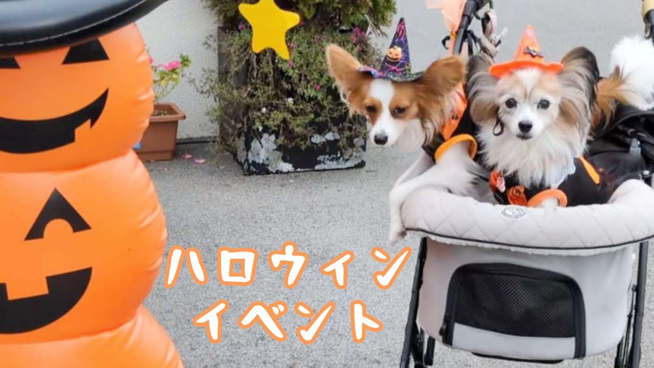 仮装してハロウィンイベントへ