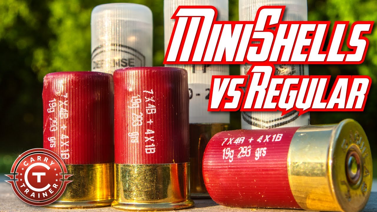 MiniShells против обычных // Гелевые блоки и тест на кормление | Эпизод №79