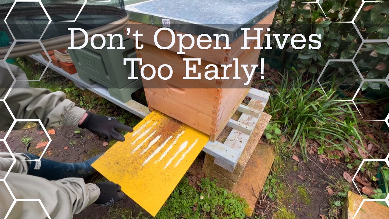 Don’t open beehives too early! - Checking on food - (March beekeeping)
