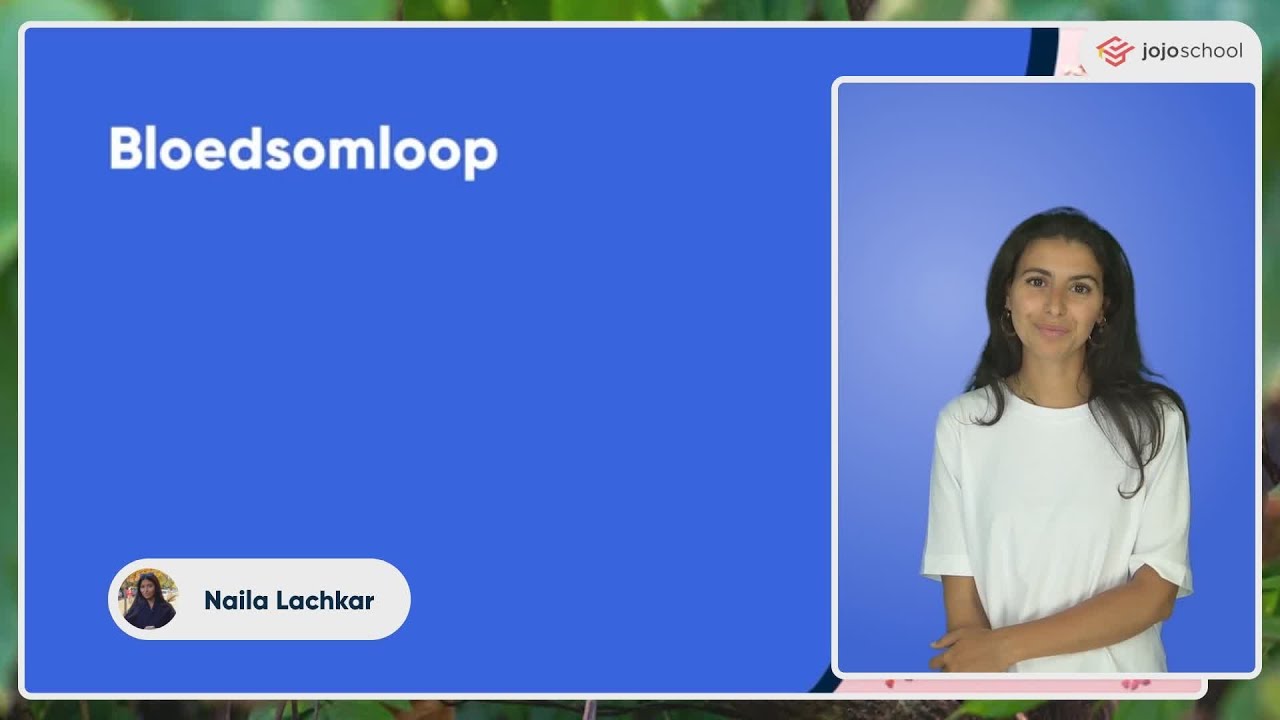 Bloedsomloop - Biologie - VMBO