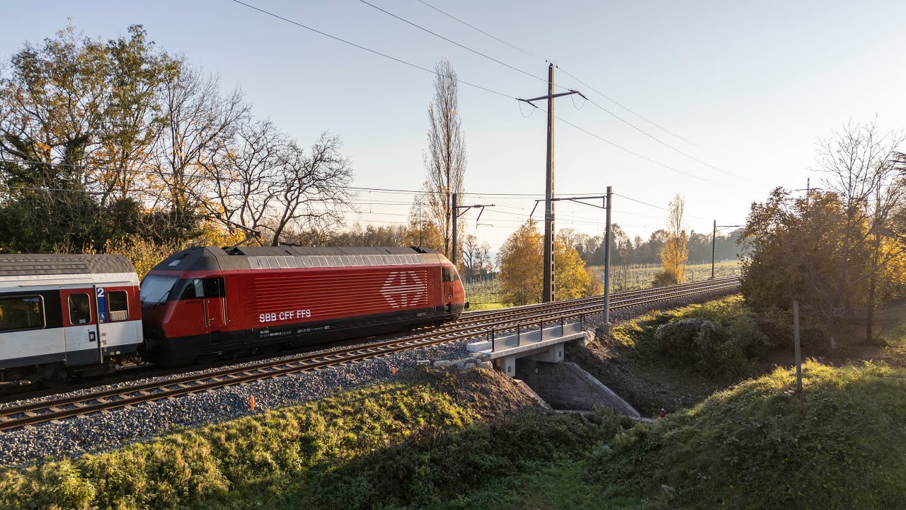 SWISS-FLY BORIS BRON - Rampini - SBB CFF FFS - OCP Monnivert II