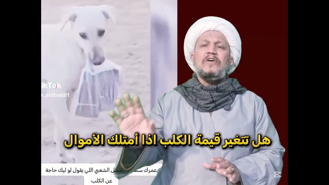 هل تتغير قيمة الكلب اذا أمتلك الأموال  