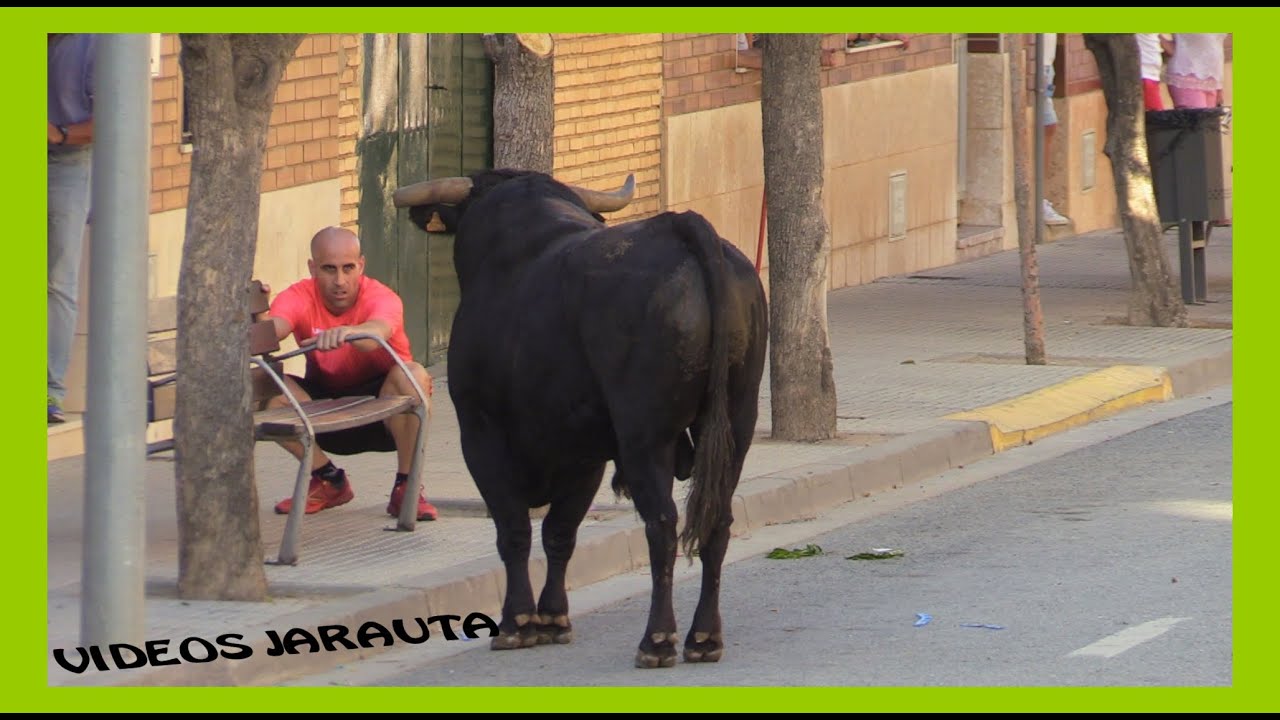 RIBAFORADA ( NAVARRA ) TARDE ENCIERRO DEL BARRANCO ( SÁBADO 27 AGOSTO 2022 ) HNOS.GRACIA