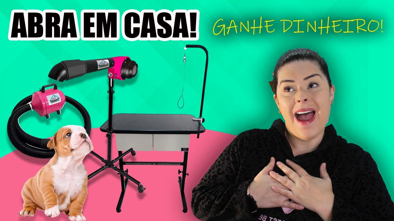 🐶 Como Montar um Banho e Tosa em Casa?