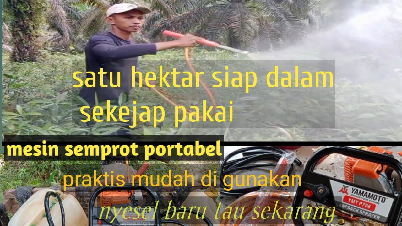 membasmi rumput dengan mesin semprot Yamamoto 2 tak