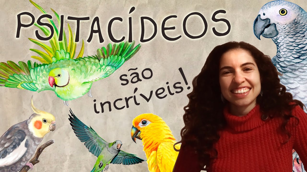 O Que é Psitacídeo?