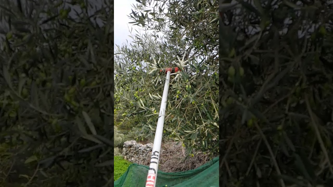 Νιφάδα x12 Γιαμακης slow motion