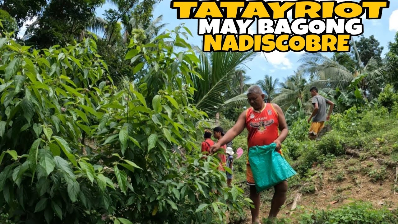 TatayRiot May Bagong Nadiscobreng Dahon Pang Huli Ng Ulang
