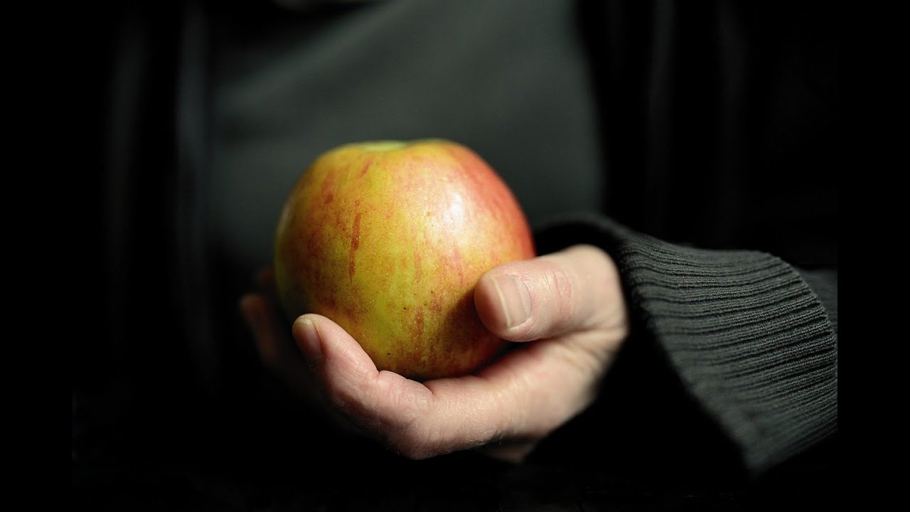 Fasting Part 3: All-in Fasting Not Dieting
