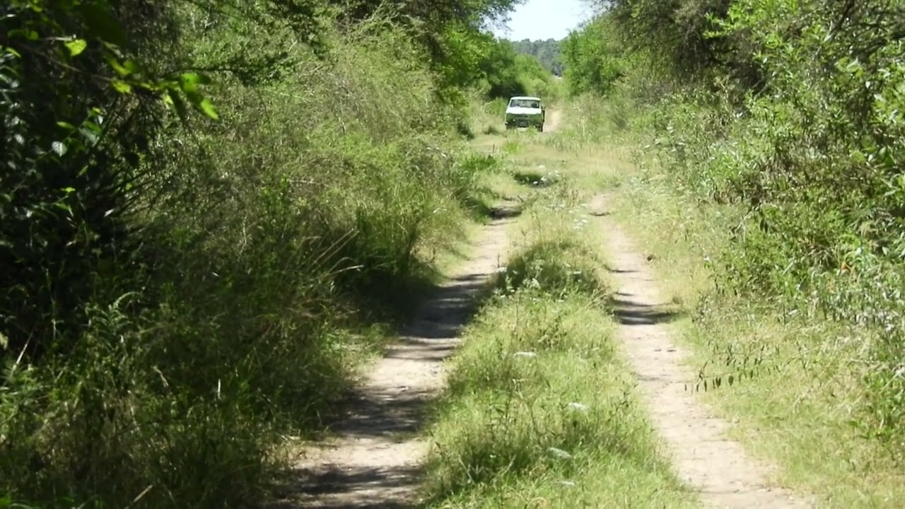 CAMINOS DEL PASADO 017
