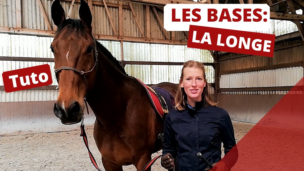 Les bases de la longe