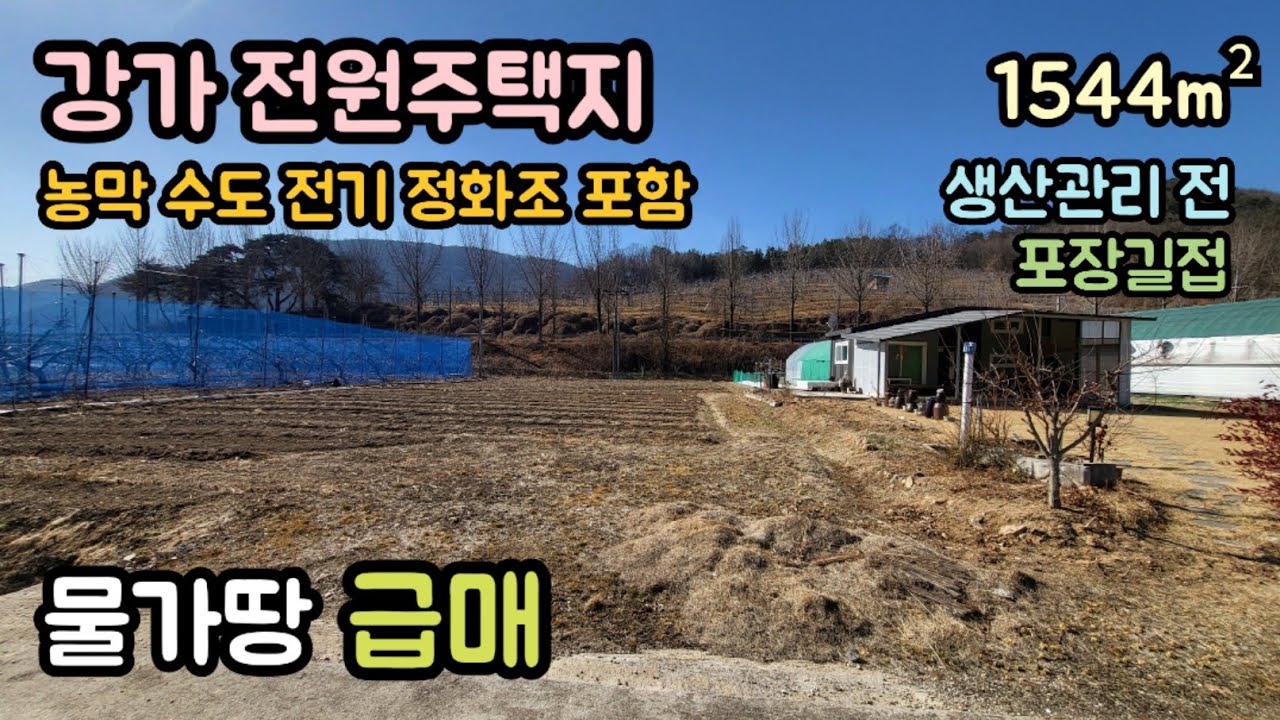 (매물번호14501) 보은부동산 1544㎡(467) 보은땅 보은토지매매매물 청주부동산 청주토지 시골땅 촌땅 싼땅 물가토지 주말농장 귀농귀촌 전원주택지 집터 대전부동산 1억6천만원