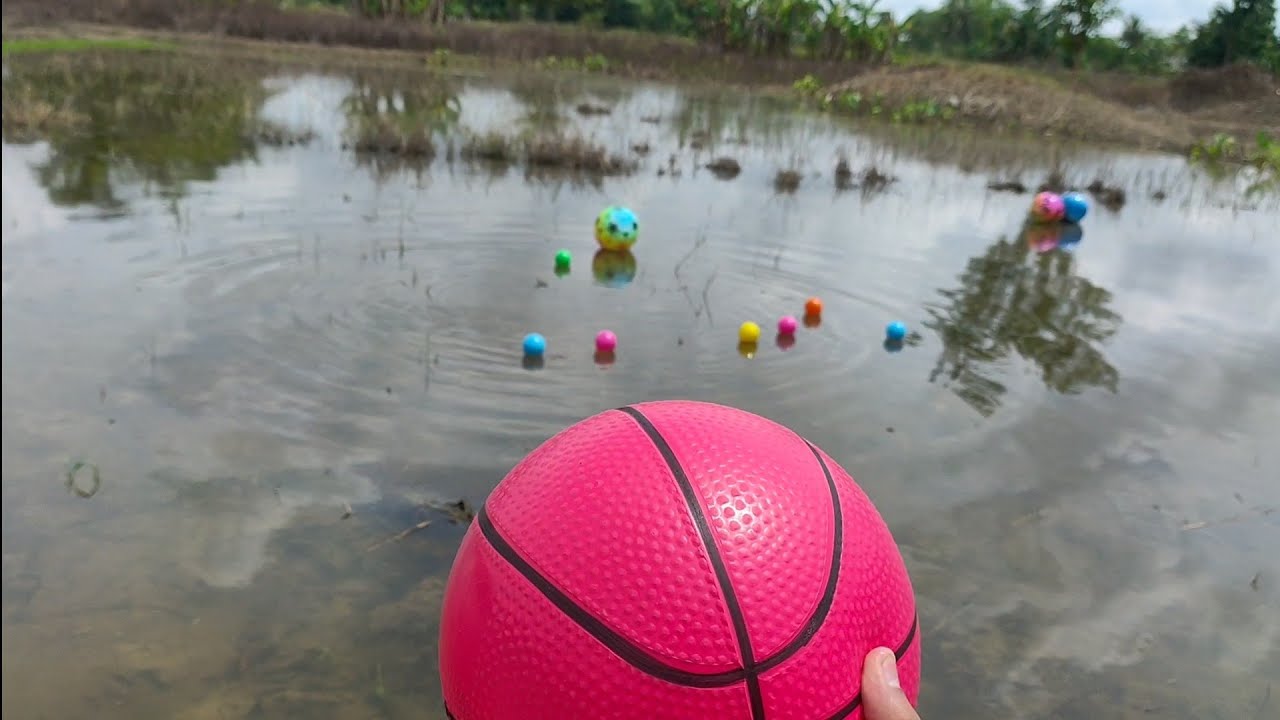 Lempar Lempar Bola, Belajar Warna Bola, Main Bola Di Sawah
