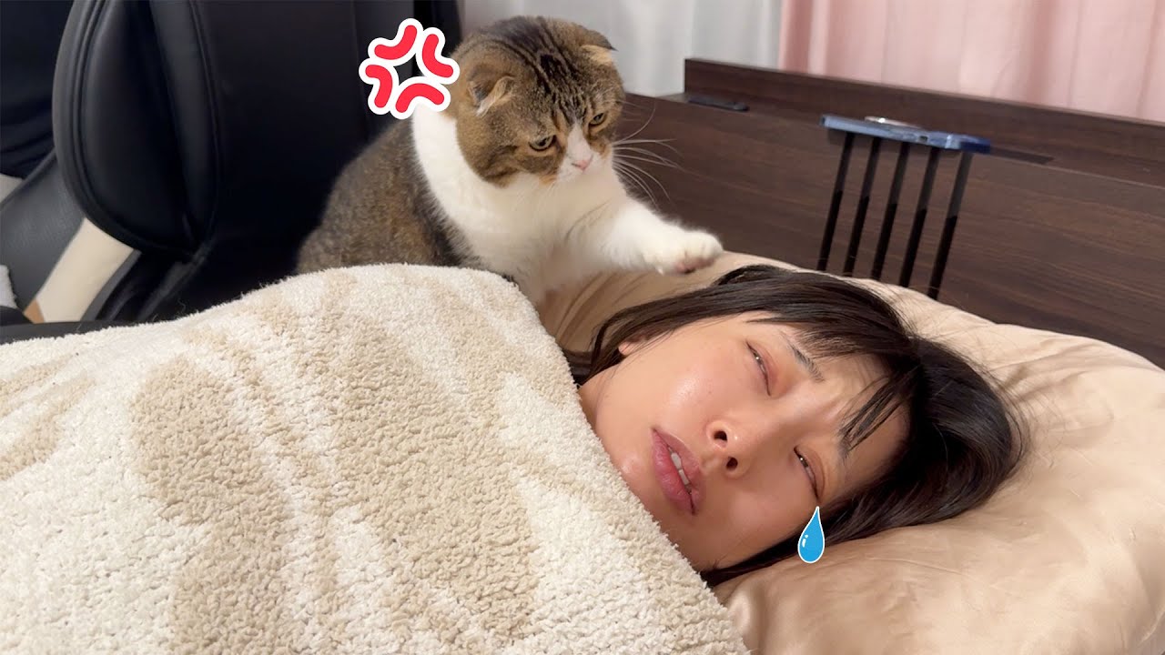 早朝4時に猫に起こされて泣いちゃう飼い主がこちらです…