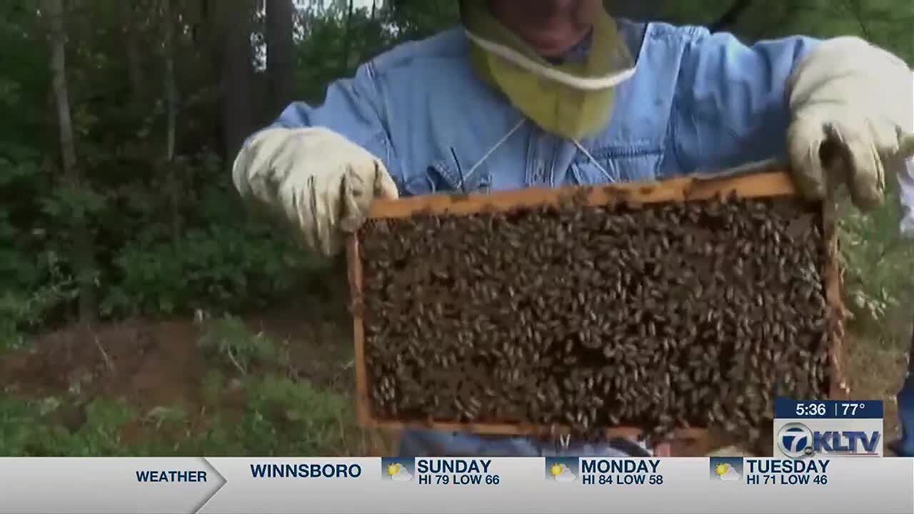 East Texas beekeeper gives advice for fighting pests without harming pollinators