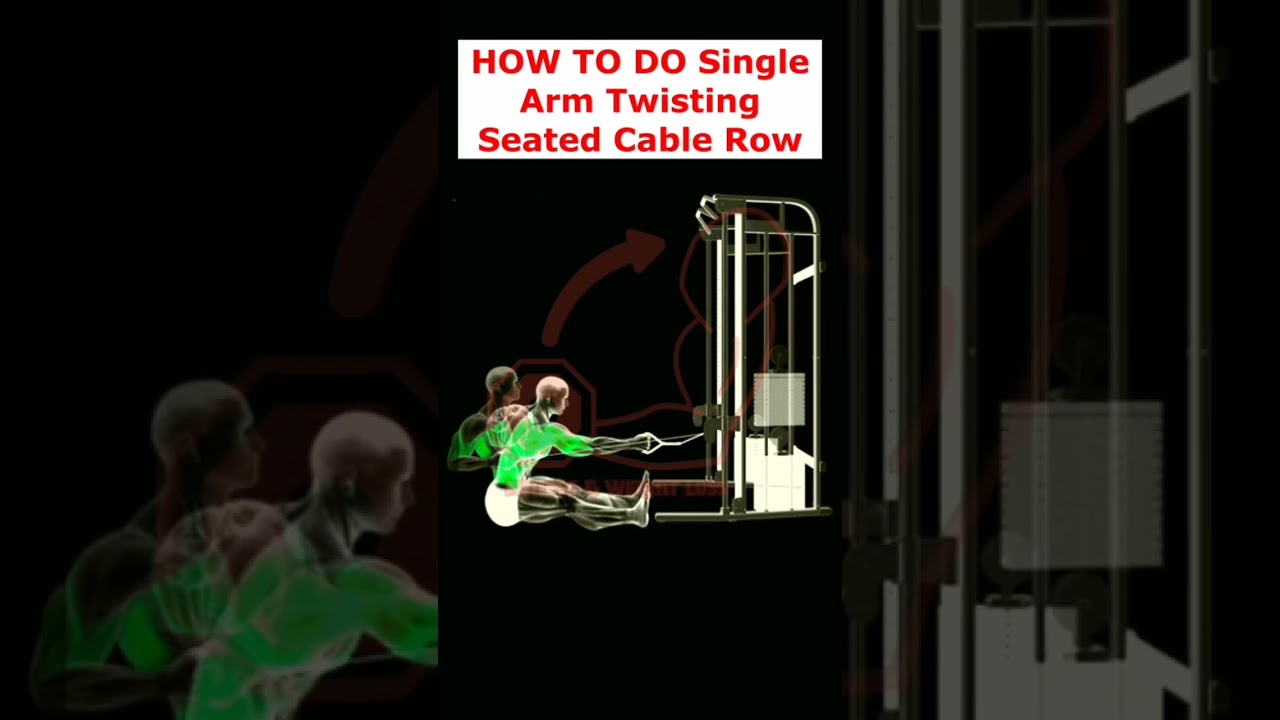 BEGINNER-FRIENDLY! Single arm twisting seated cable Workout.