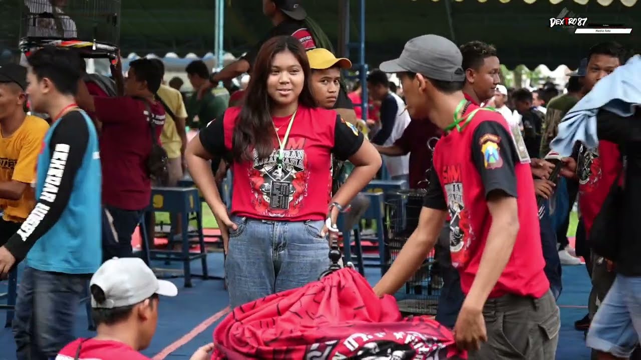 Perawatan Murai batu Gacor Rampes(perawatan harian dan lomba)Om yuli Solo😁👌🏻