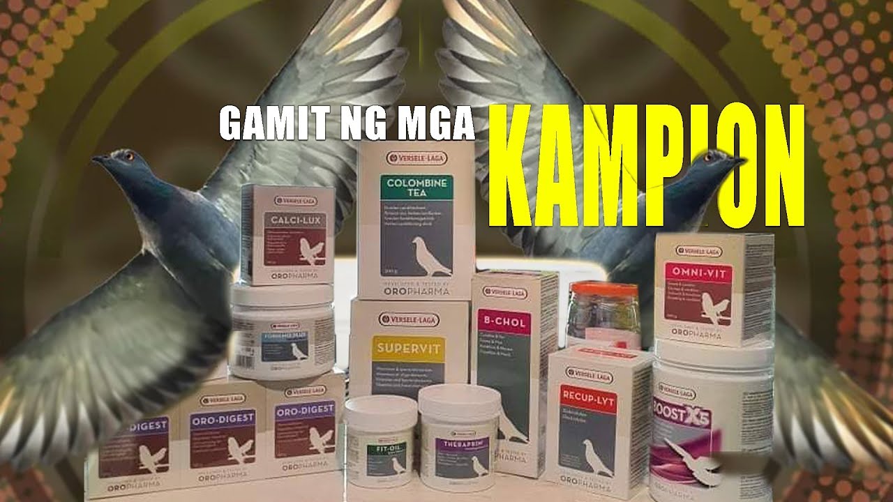 The Secrets of Verselle Laga products part 3