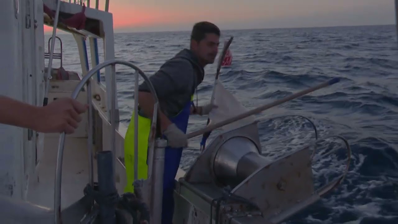 Documental pesca del trasmallo OPP72 (2023)