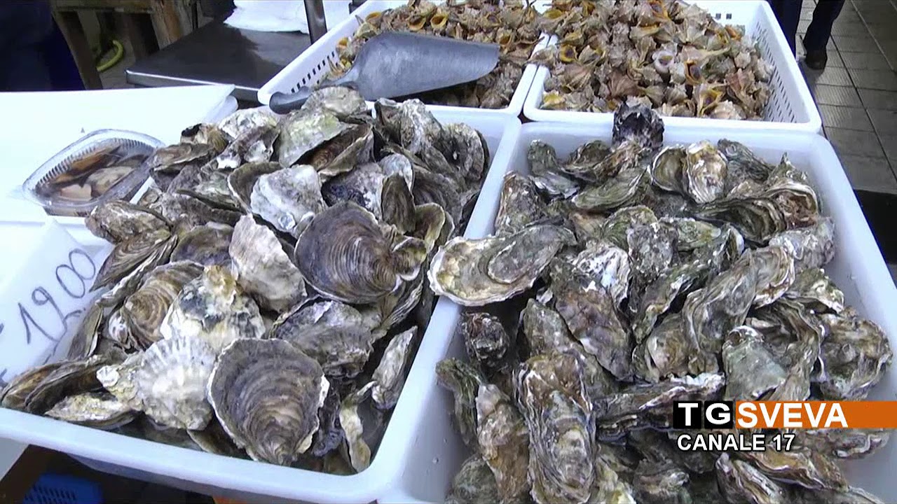 BISCEGLIE | Cenone di Capodanno: un giro al mercato del pesce per il menù della tradizione