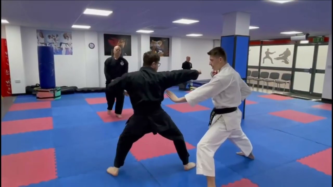 Sankukai Karate: Randori Ichi