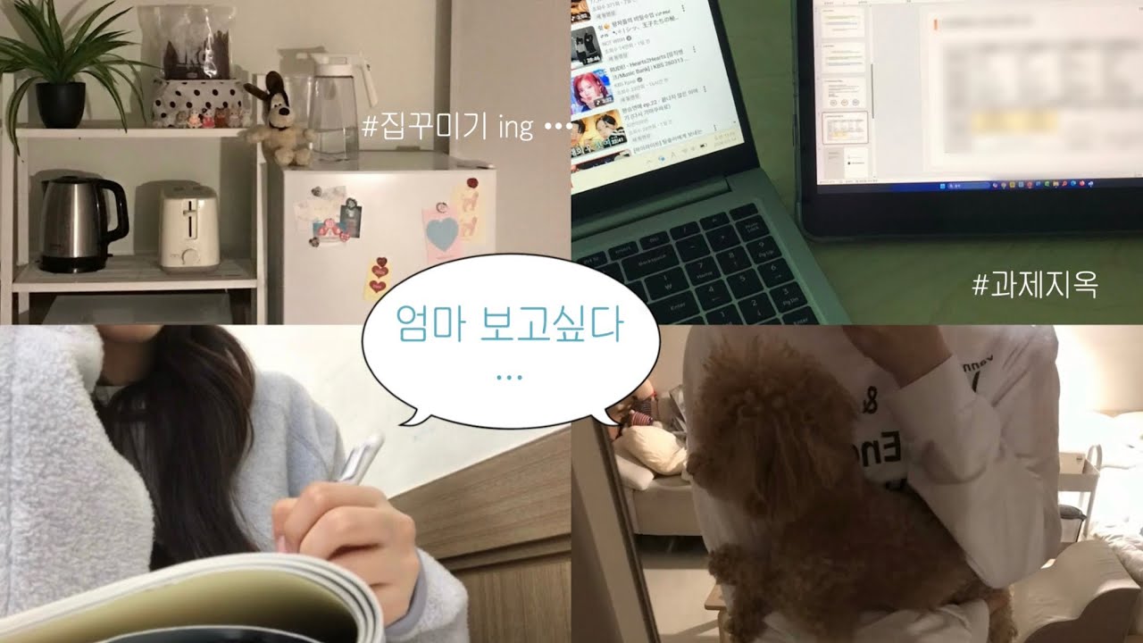 할일이 넘쳐나는 대학생 .. 🏃🏠 | 자취 시작! + 강아지 독박육아도 start...⌒⌒ | 학교 다니고~ 과제하고~ 집안일 하고~ 강이지랑 둘이 사는  자취 브이로그 &bull;&bull;✌️🧺