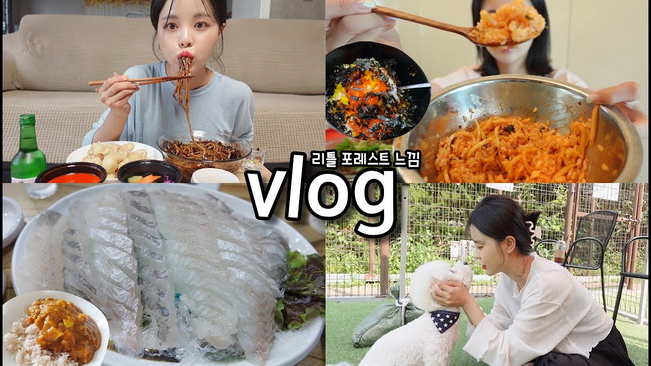 [일상vlog] 여름 입맛은 오이지가 살려주지 _ 짜장면+무생채비빔밥+애견카페+회+술먹방+닭가슴살카레+탕수육