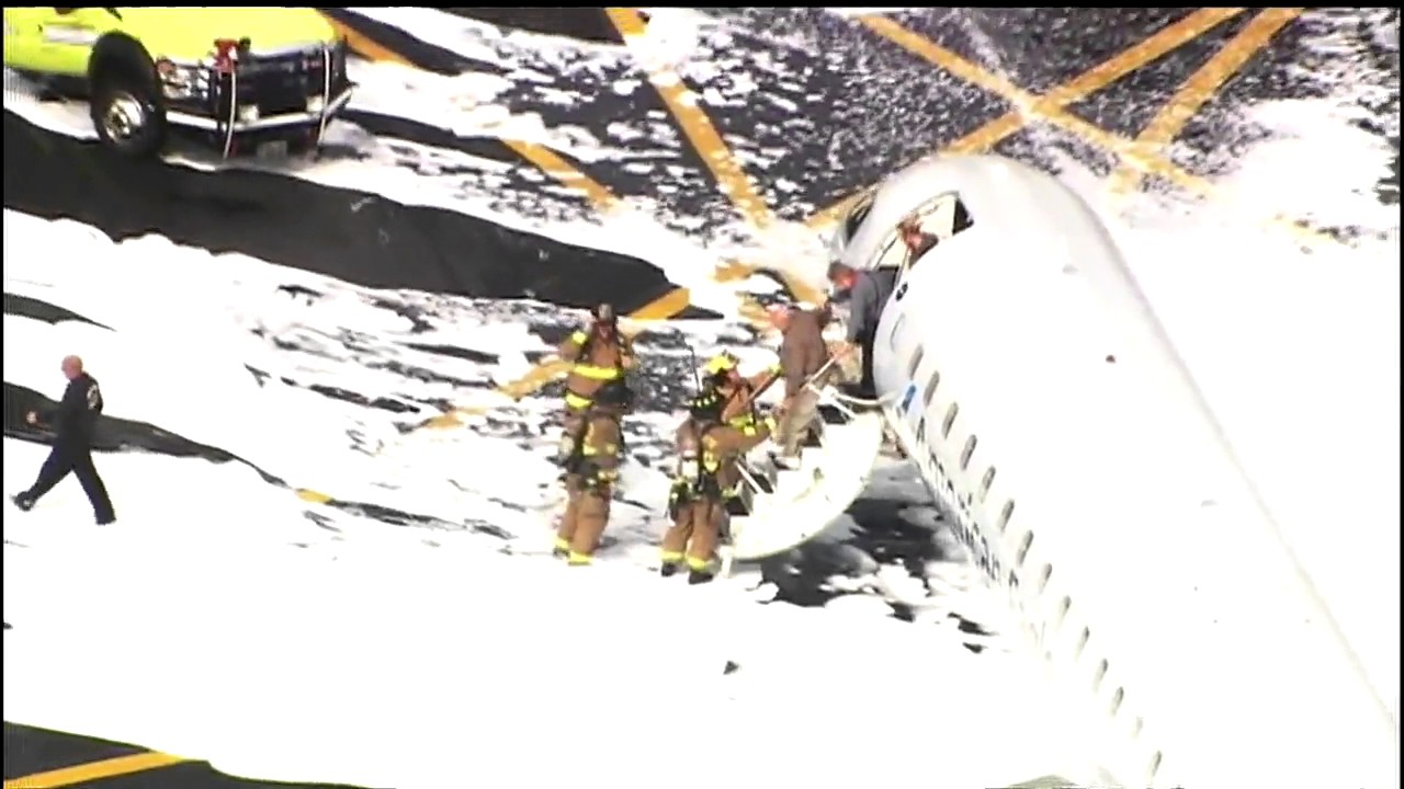Plane hits deer on runway
