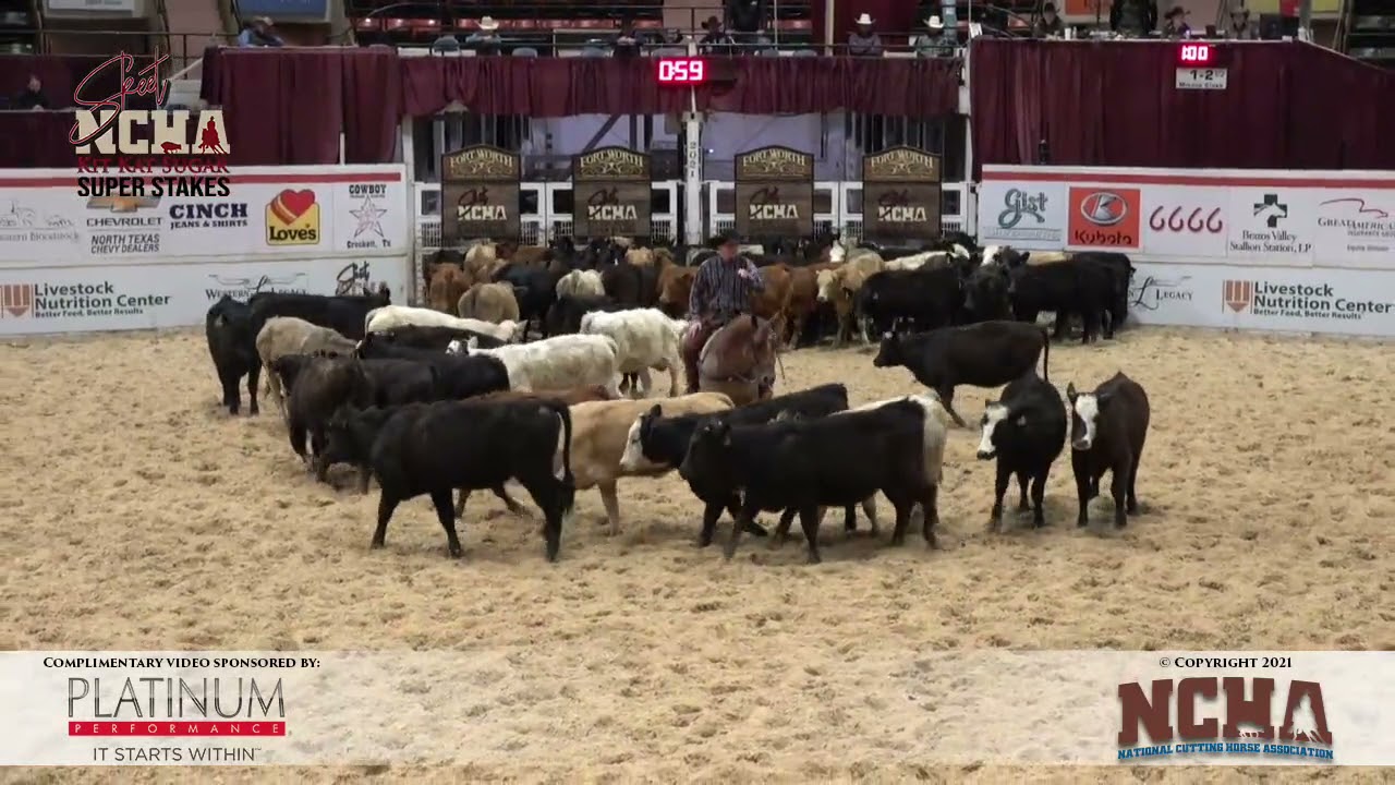 Fiddle And Steel & Brandon Westfall Win NCHA Super Stakes 4-Year-Old Non-Pro (2021)