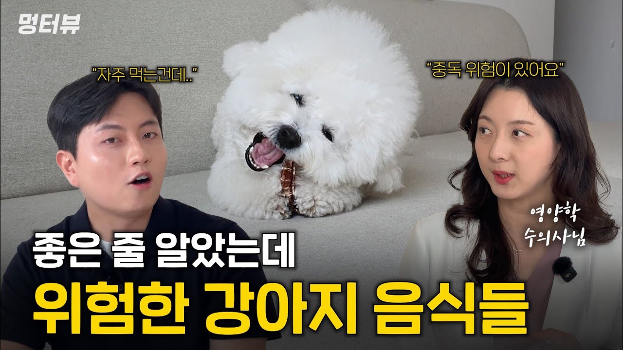 뼈간식 절대 먹이지 말라고? 대부분 모르고 먹이는 강아지에게 위험한 음식들 | 멍터뷰ep.20