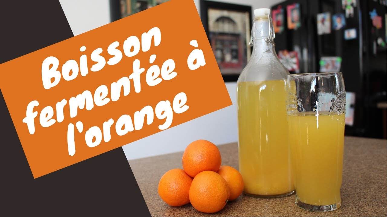 BOISSON FERMENTÉE À L'ORANGE (style Orangina): Recette facile et économique