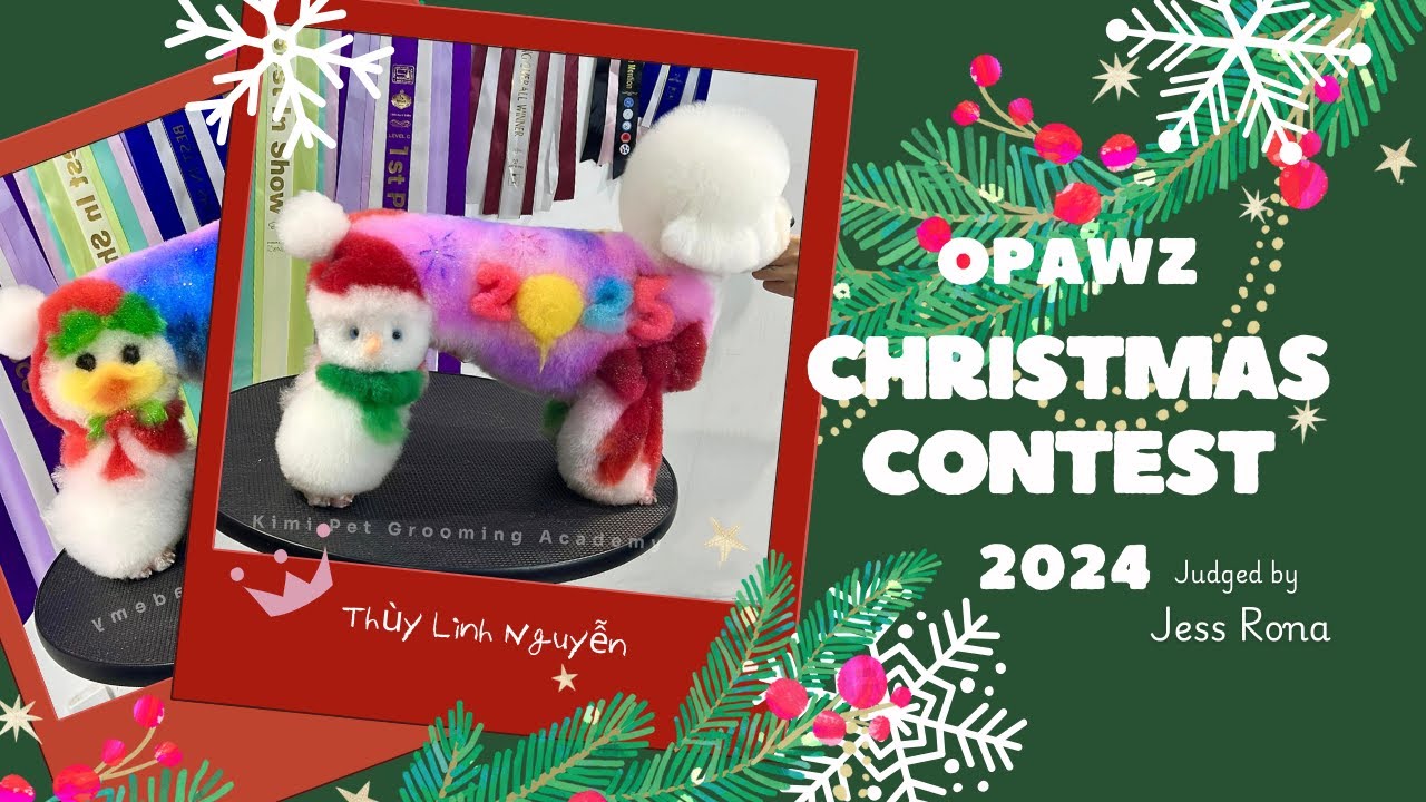 Creative Dog Grooming OPAWZ Christmas Contest 2024 #opawz #pets #dog #grooming #creativegrooming