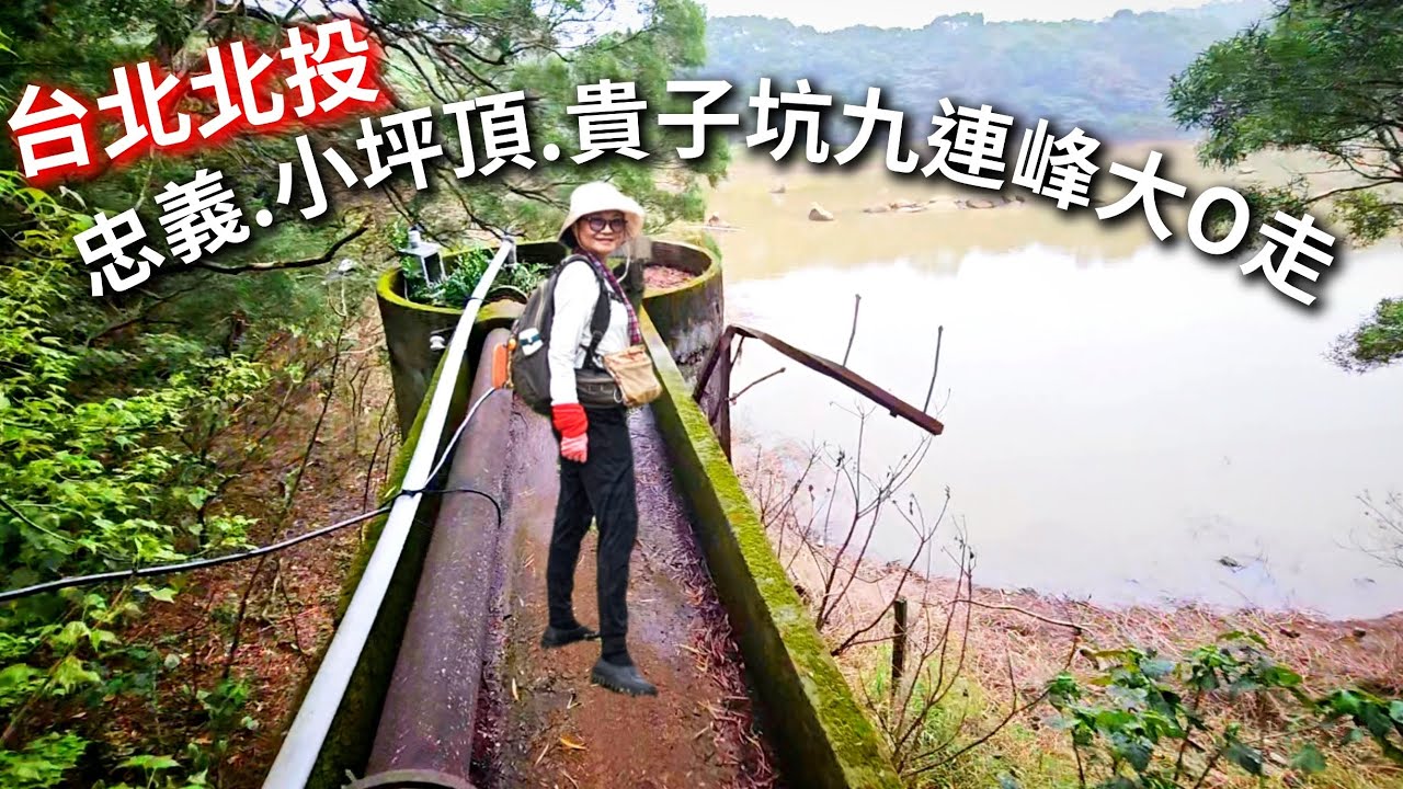 【北投】忠義山.小坪頂山.貴子坑山大O走全紀錄｜陰天找山頭不曬，小小運動很棒_1080p