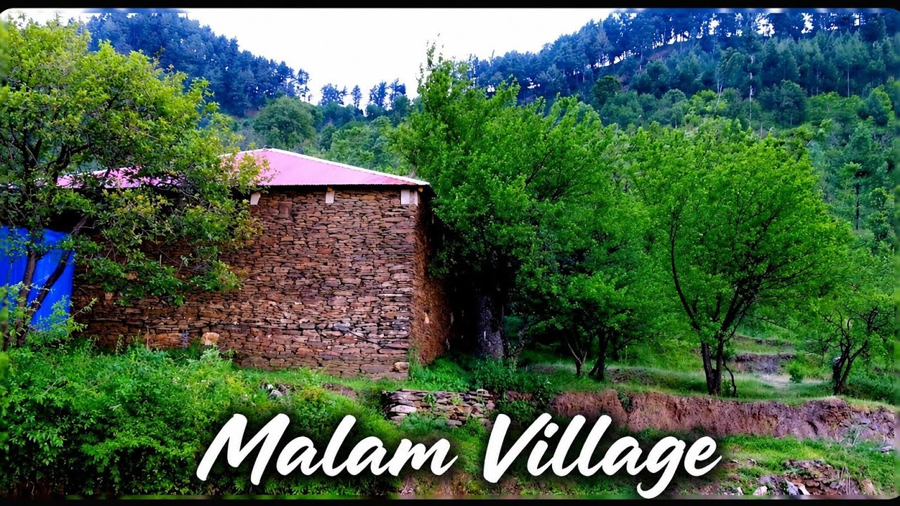Peaceful Village in Swat , Malam | Pakistan Village at a Glance | SWAT Valley Village 4K