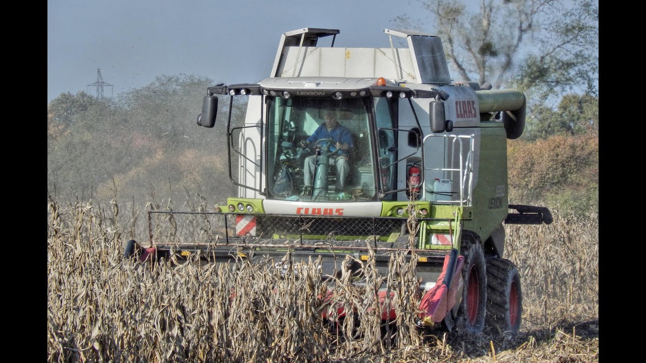 Claas Lexion 650 - Kukurica / Corn / Kukurydza