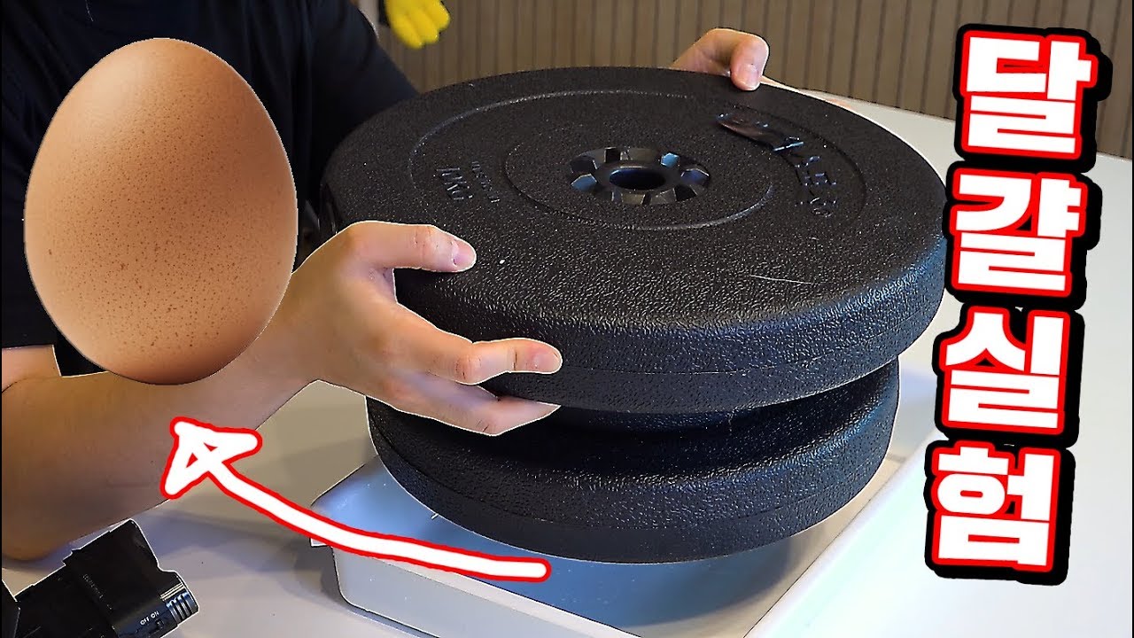 집에서도 할 수 있는 놀라운 달걀실험! [간단 실험스쿨] [ 꾹TV ]