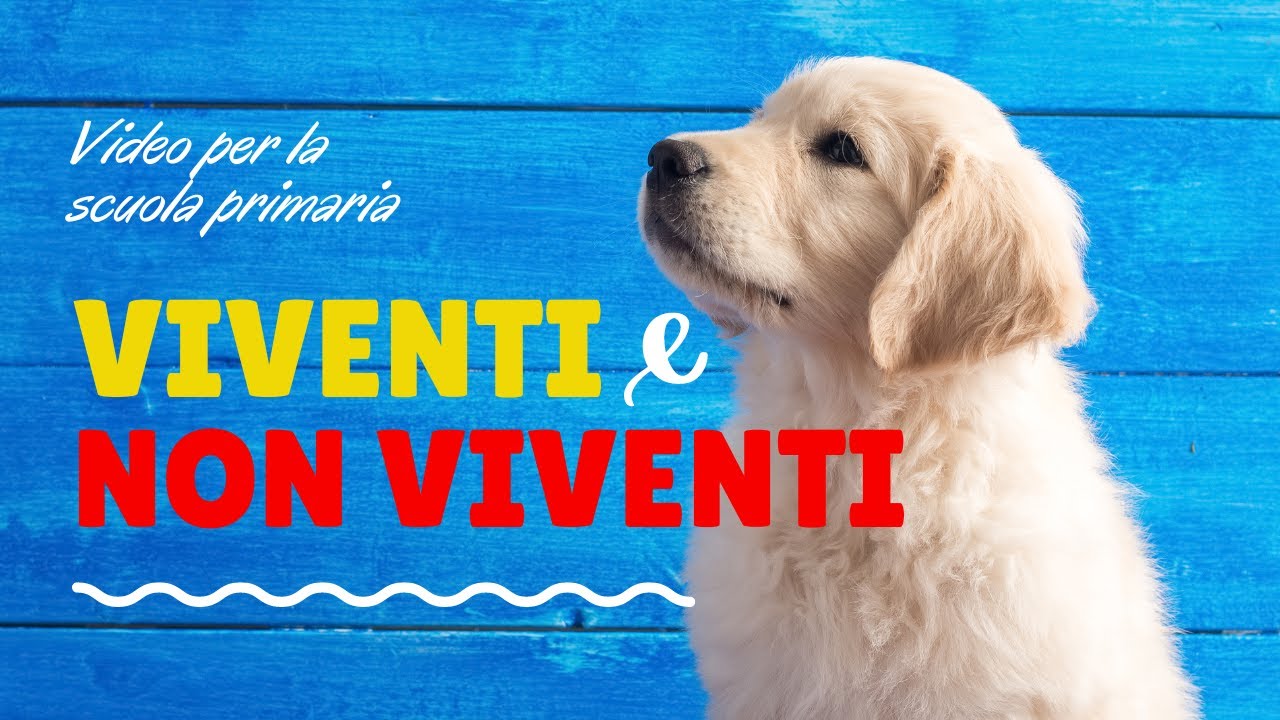 I VIVENTI E I NON VIVENTI - per i bambini della scuola primaria