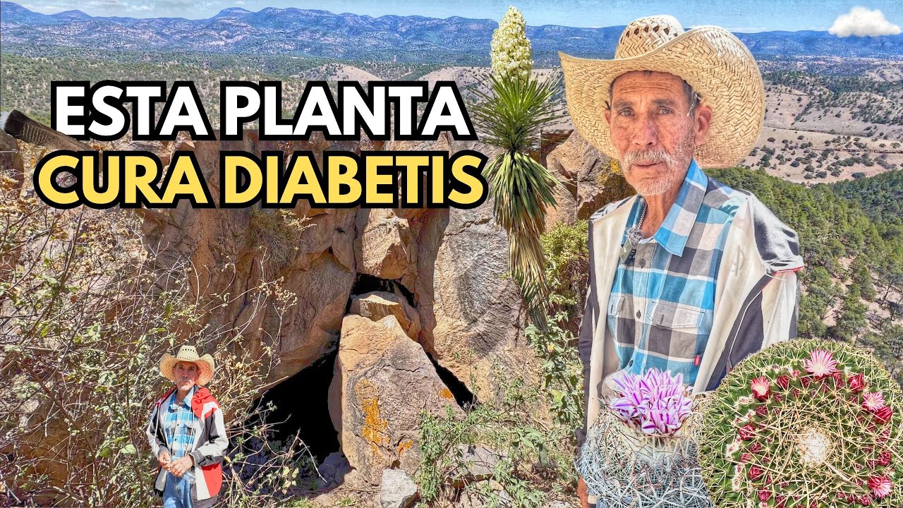 NADIE se atreve a Entrar al REFUGIO OCULTO donde 40 bandidos escondieron su FORTUNA