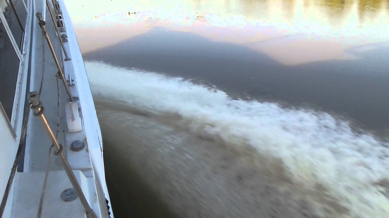 46' Bertram-1st Run