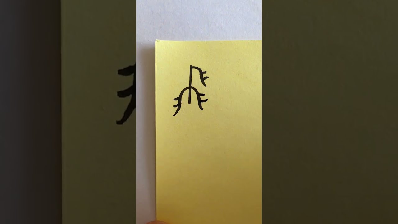 Fly #shorts #handwriting #chinese
