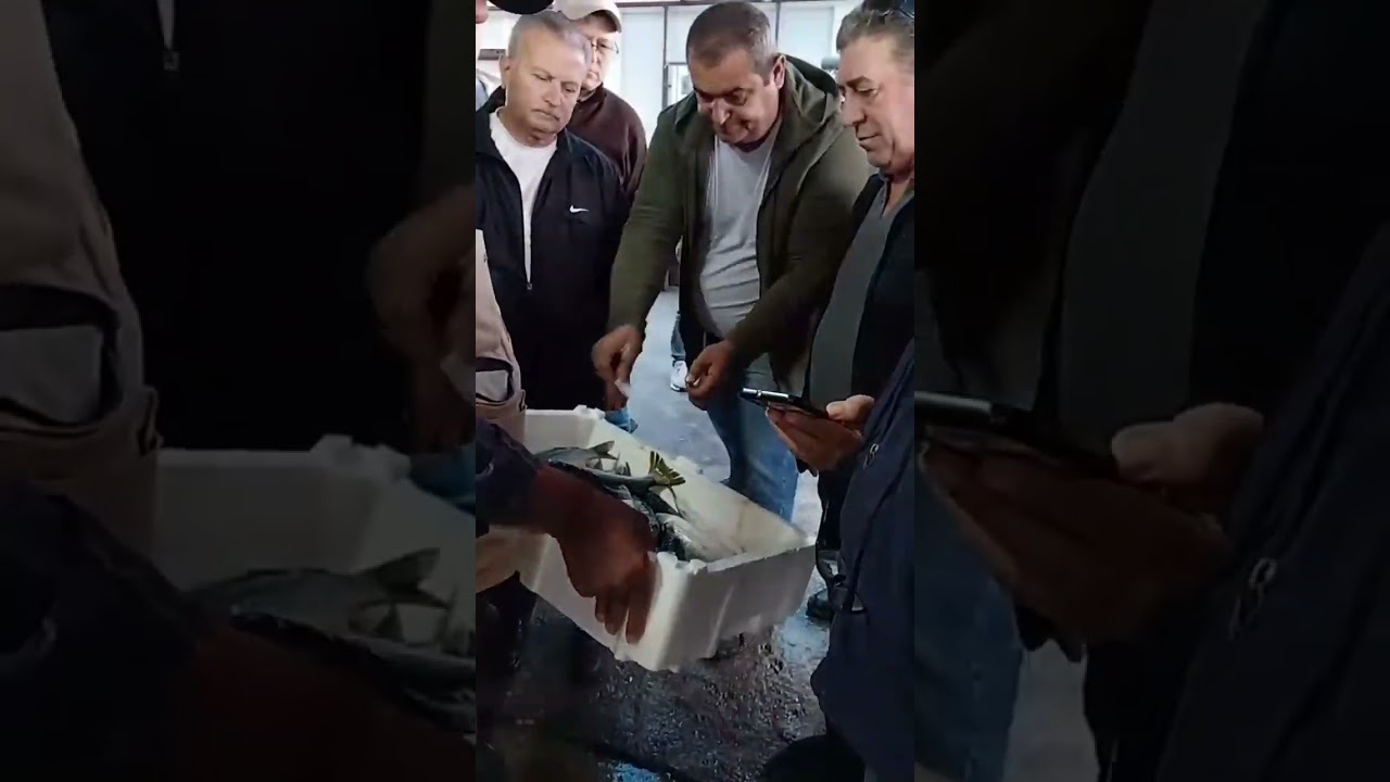 MAVİŞEHİR KASA İHALESİ 