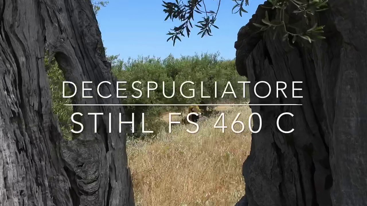 Prova in campo decespugliatore STIHL fs 460 c - em