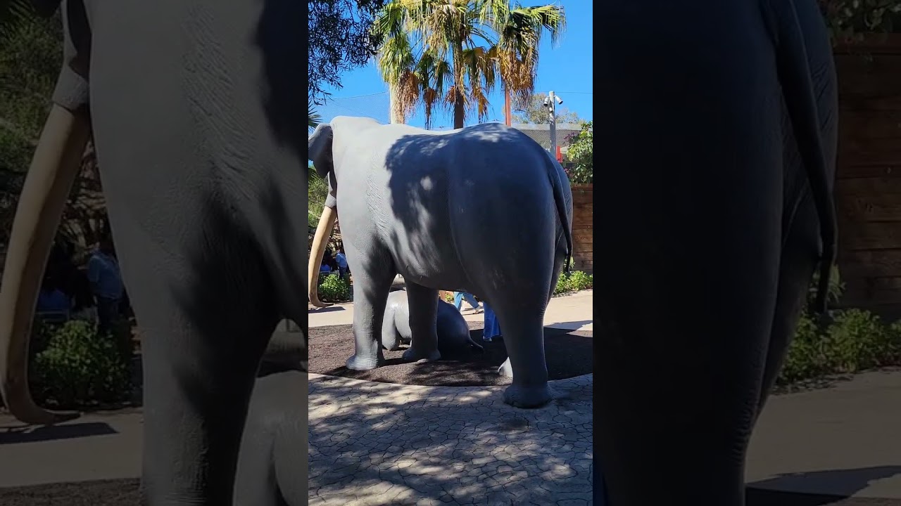 San Diego Zoo California 