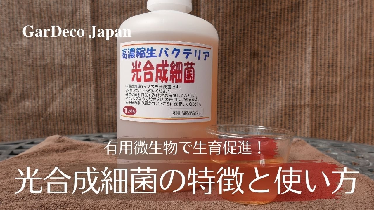 有用微生物で生育促進！光合成細菌の特徴と使い方