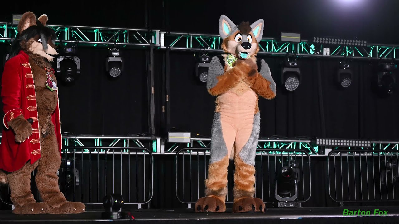 Midwest FurFest 2021 &mdash; танцевальный конкурс &mdash; Jamage