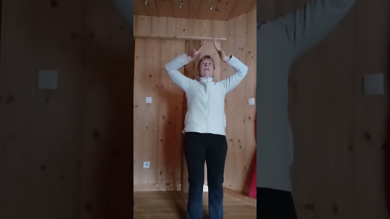 Qi Gong pour les bras Marie Madeleine GONET