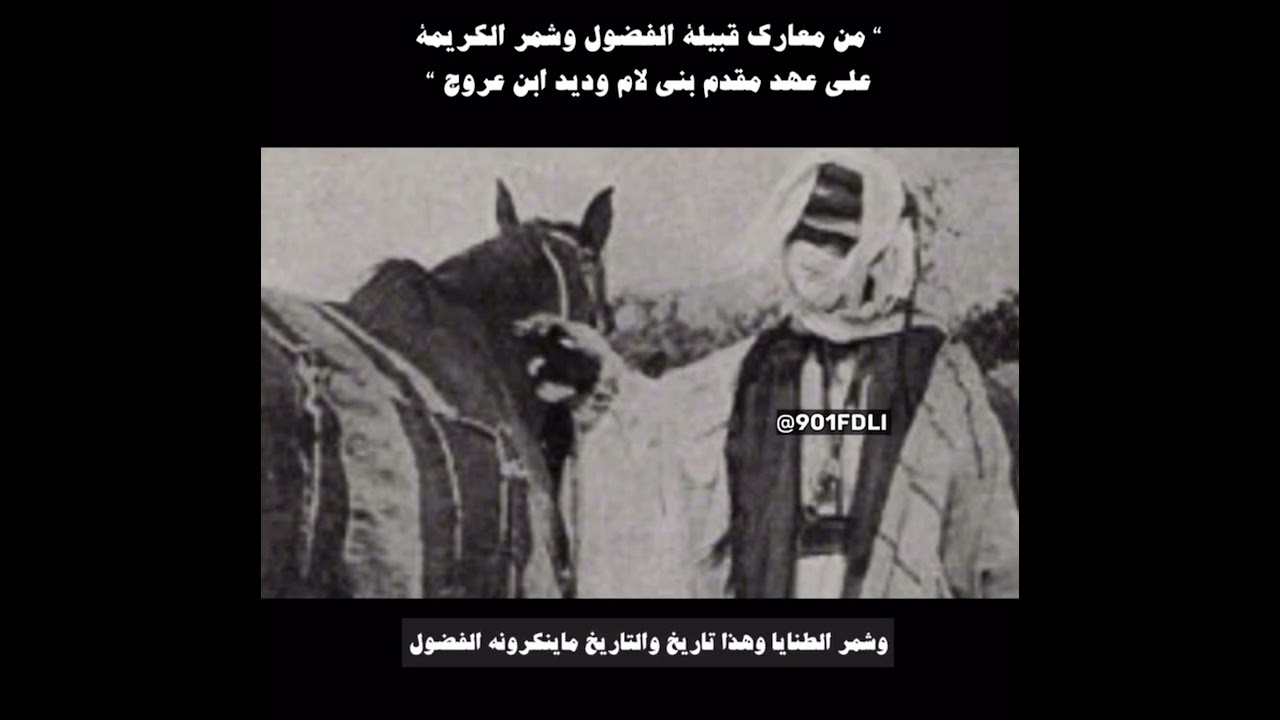 مرويات الفضول٣/غزوه الفضول على حايل