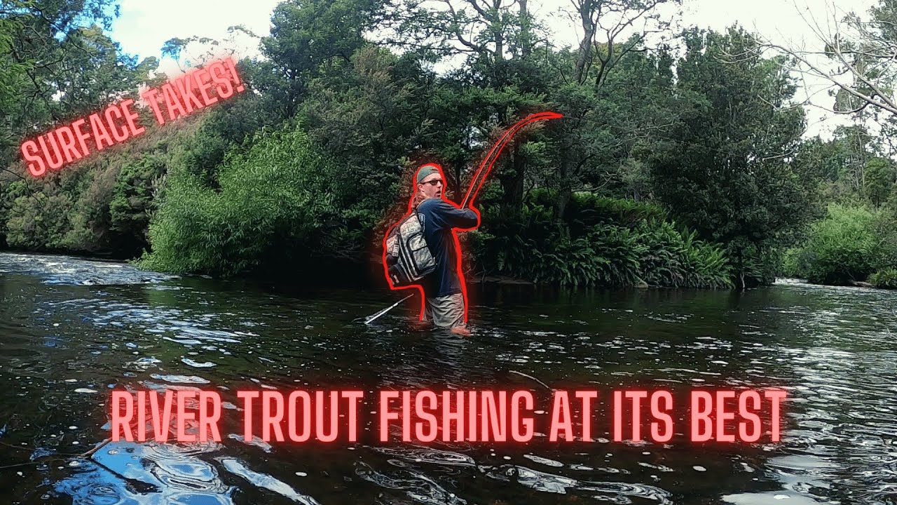 CRAZY GOOD TROUT FISHING, Trout Fishing St Patricks River Tasmania