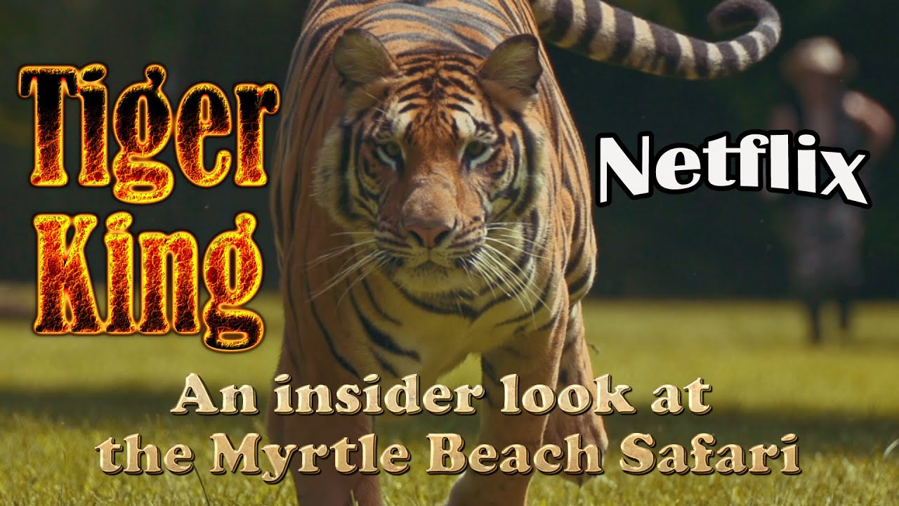 Insider Look at the Myrtle Beach Safari - Netflix 