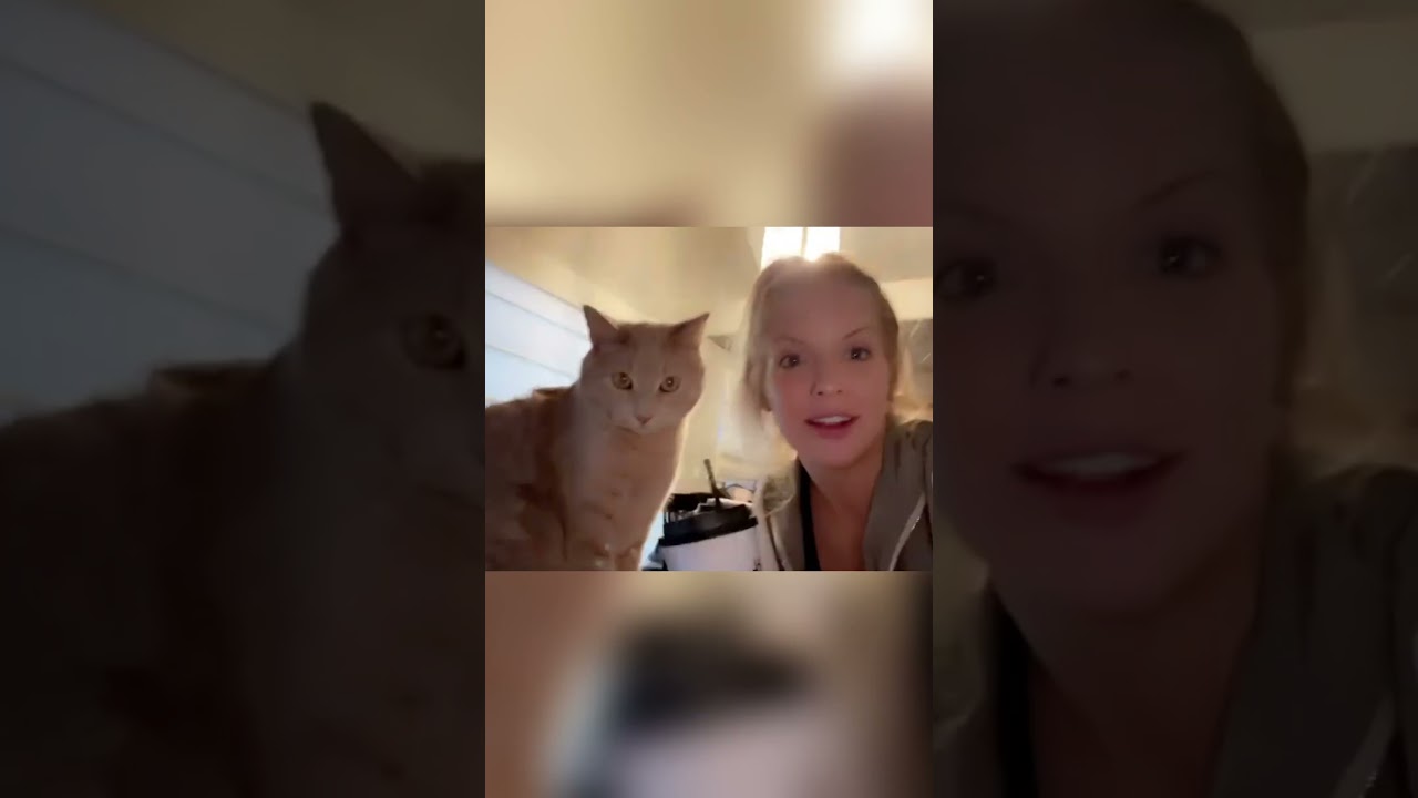Cat&rsquo;s ability to imitate👍👍